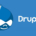 Drupal Nedir? Kim Buldu? Tarihi Nedir?